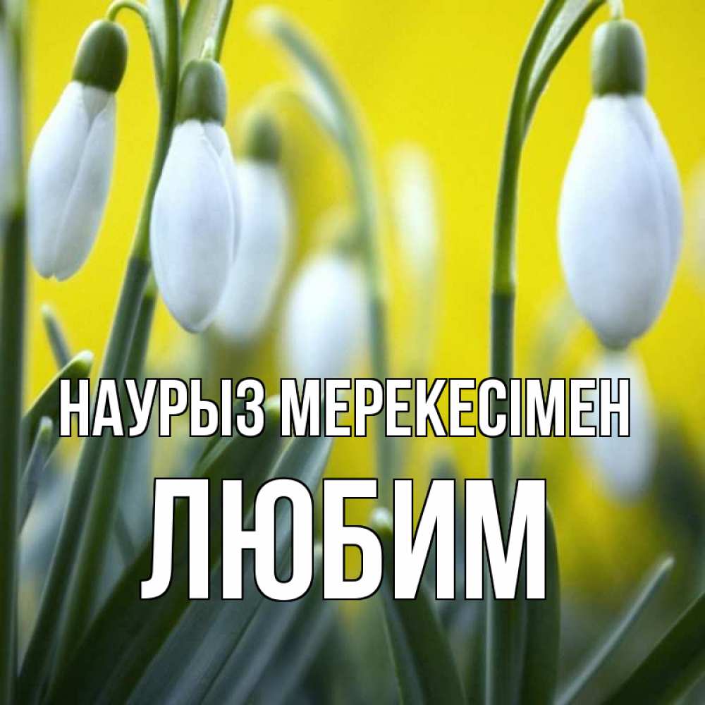 Күн сайын ашық хат с именем, Любим Наурыз мерекесімен весенние цветы Онлайн тегін жүктеп алу тілектері бар керемет карта 