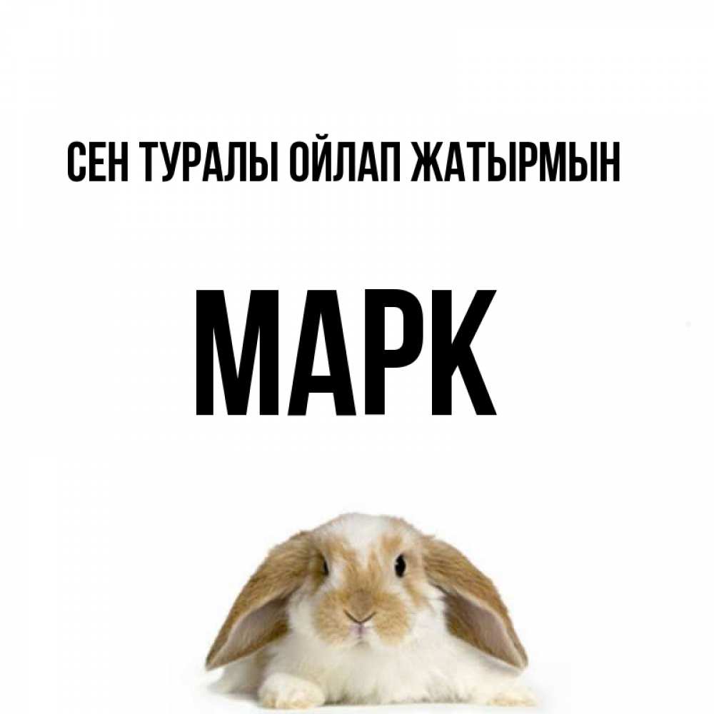 Күн сайын ашық хат с именем, Марк Сен туралы ойлап жатырмын подписать своими руками онлайн Онлайн тегін жүктеп алу тілектері бар керемет карта 