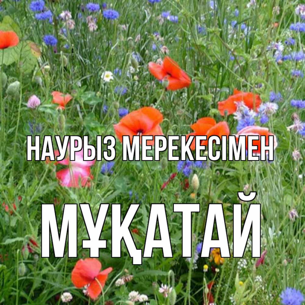 Күн сайын ашық хат с именем, Мұқатай Наурыз мерекесімен праздник весны наурыз супер открытка Онлайн тегін жүктеп алу тілектері бар керемет карта 
