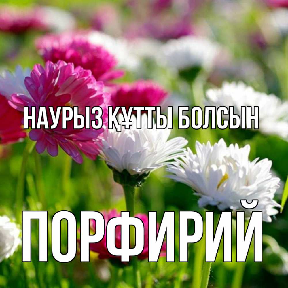 Күн сайын ашық хат с именем, Порфирий Наурыз құтты болсын наурыз Онлайн тегін жүктеп алу тілектері бар керемет карта 