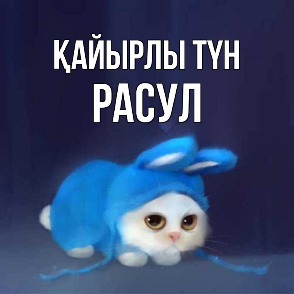 Күн сайын ашық хат с именем, РАСУЛ Қайырлы түн кот в голубом костюме кролика с ушками Онлайн тегін жүктеп алу тілектері бар керемет карта 