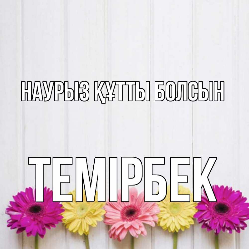 Күн сайын ашық хат с именем, ТЕМІРБЕК Наурыз құтты болсын женщинам 1 Онлайн тегін жүктеп алу тілектері бар керемет карта 