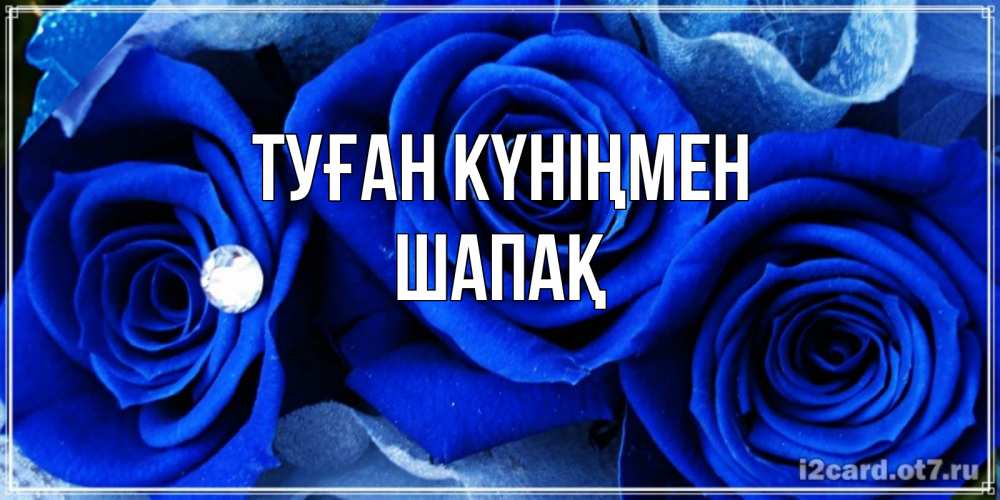 Күн сайын ашық хат с именем, ШАПАҚ Туған күніңмен синие розы в росе Онлайн тегін жүктеп алу тілектері бар керемет карта 
