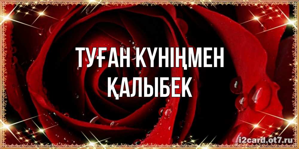 Күн сайын ашық хат с именем, Қалыбек Туған күніңмен цветок в росе на день рождения Онлайн тегін жүктеп алу тілектері бар керемет карта 