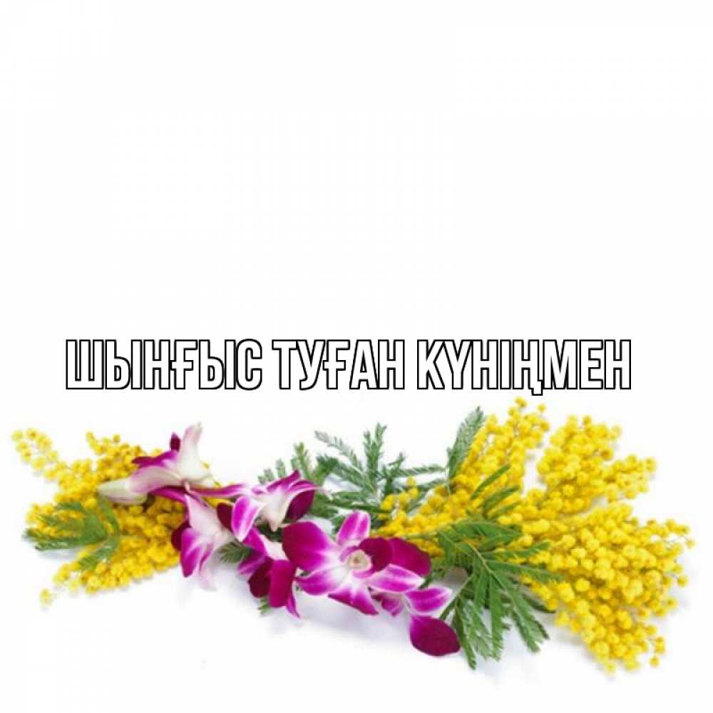 Картинка  с именем , ШЫНҒЫС! ТУҒАН КҮНІҢМЕН!