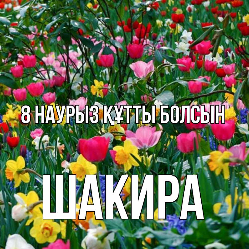 Күн сайын ашық хат с именем, Шакира 8 наурыз құтты болсын с международным женским днем поздравления для женщины Онлайн тегін жүктеп алу тілектері бар керемет карта 