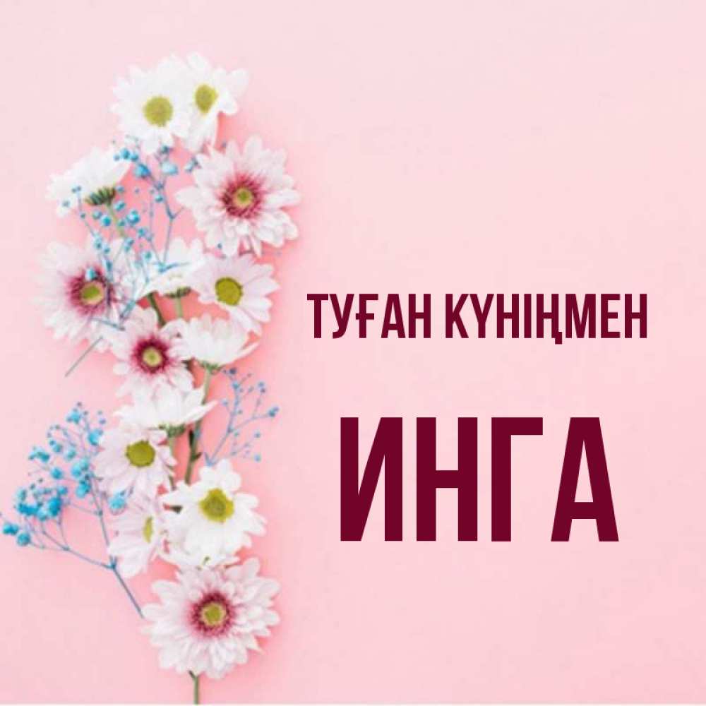 Күн сайын ашық хат с именем, Инга Туған күніңмен Родная моя с днем рождения тебя картинка с цветами белыми и голубыми Онлайн тегін жүктеп алу тілектері бар керемет карта 