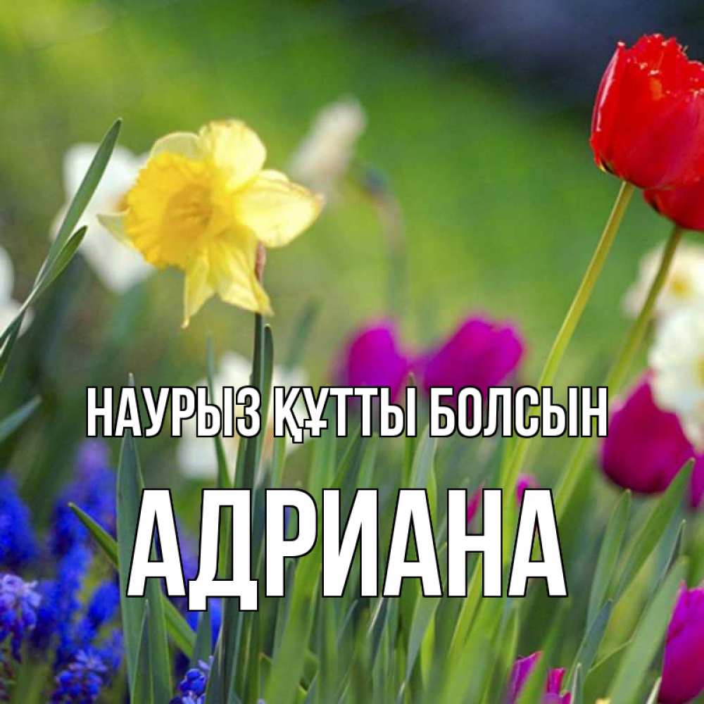Күн сайын ашық хат с именем, Адриана Наурыз құтты болсын наурыз  3 открытки Онлайн тегін жүктеп алу тілектері бар керемет карта 