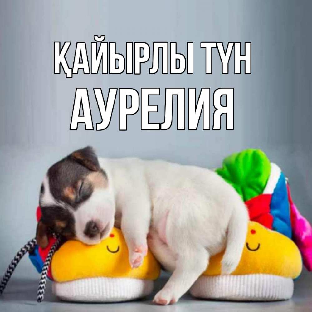 Күн сайын ашық хат с именем, Аурелия Қайырлы түн собачка Онлайн тегін жүктеп алу тілектері бар керемет карта 