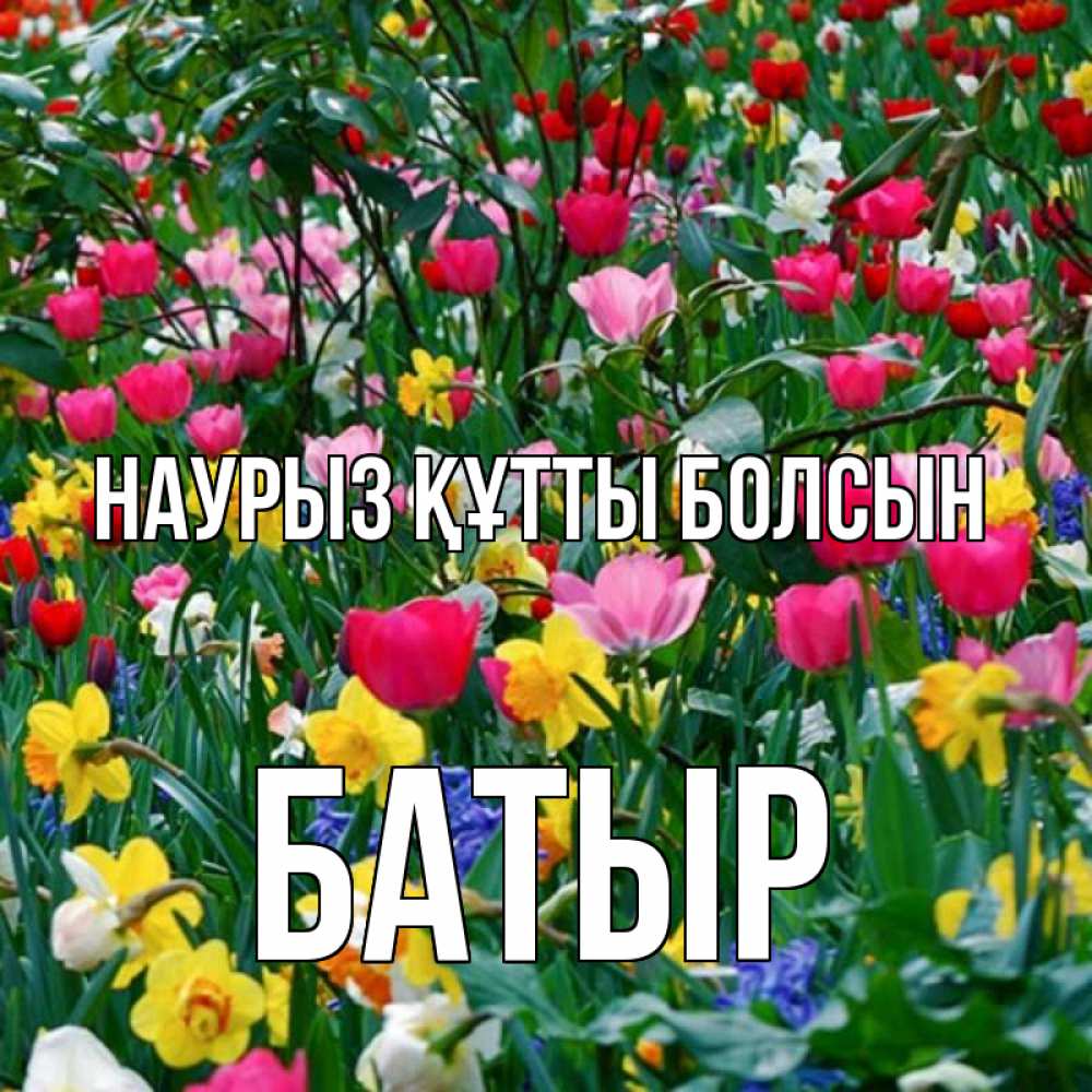 Күн сайын ашық хат с именем, Батыр Наурыз құтты болсын с наурызом поздравления для женщины Онлайн тегін жүктеп алу тілектері бар керемет карта 