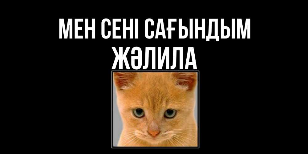 Күн сайын ашық хат с именем, ЖӘЛИЛА Мен сені сағындым открытки рыжий котенок скучает по тебе Онлайн тегін жүктеп алу тілектері бар керемет карта 