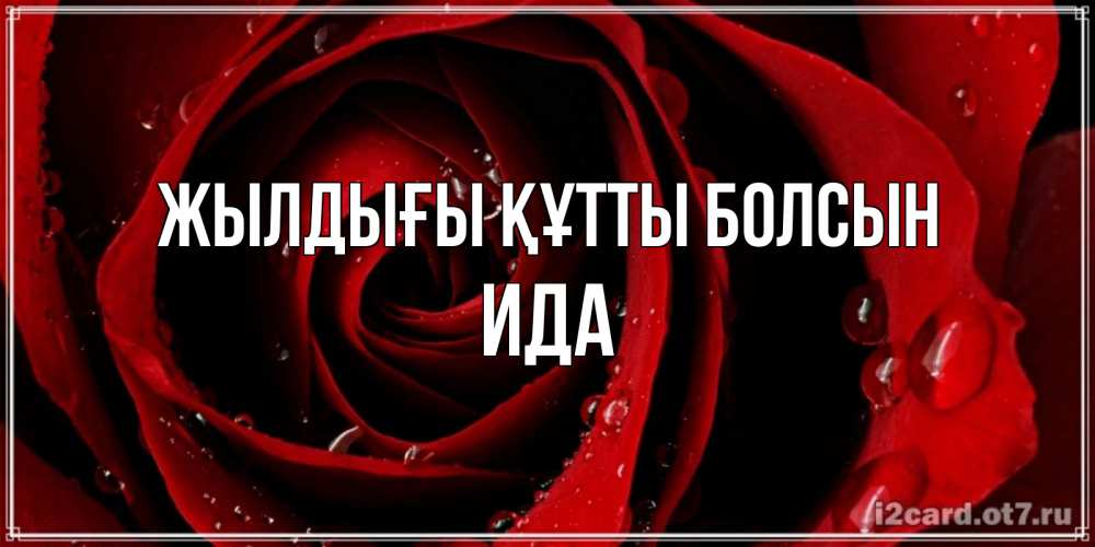 Күн сайын ашық хат с именем, Ида Жылдығы құтты болсын крупная бордовая роза Онлайн тегін жүктеп алу тілектері бар керемет карта 