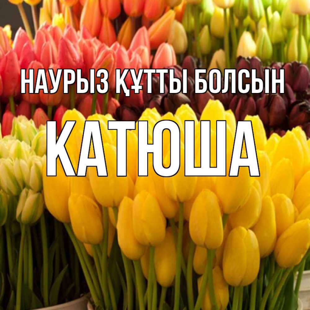 Күн сайын ашық хат с именем, Катюша Наурыз құтты болсын цветы Онлайн тегін жүктеп алу тілектері бар керемет карта 