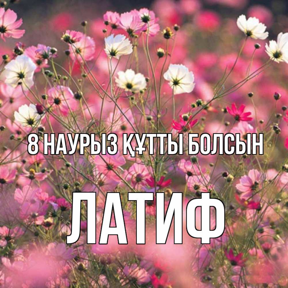 Күн сайын ашық хат с именем, ЛАТИФ 8 наурыз құтты болсын красиво 1 Онлайн тегін жүктеп алу тілектері бар керемет карта 