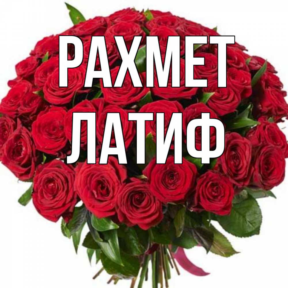 Күн сайын ашық хат с именем, ЛАТИФ рахмет букет красных роз Онлайн тегін жүктеп алу тілектері бар керемет карта 