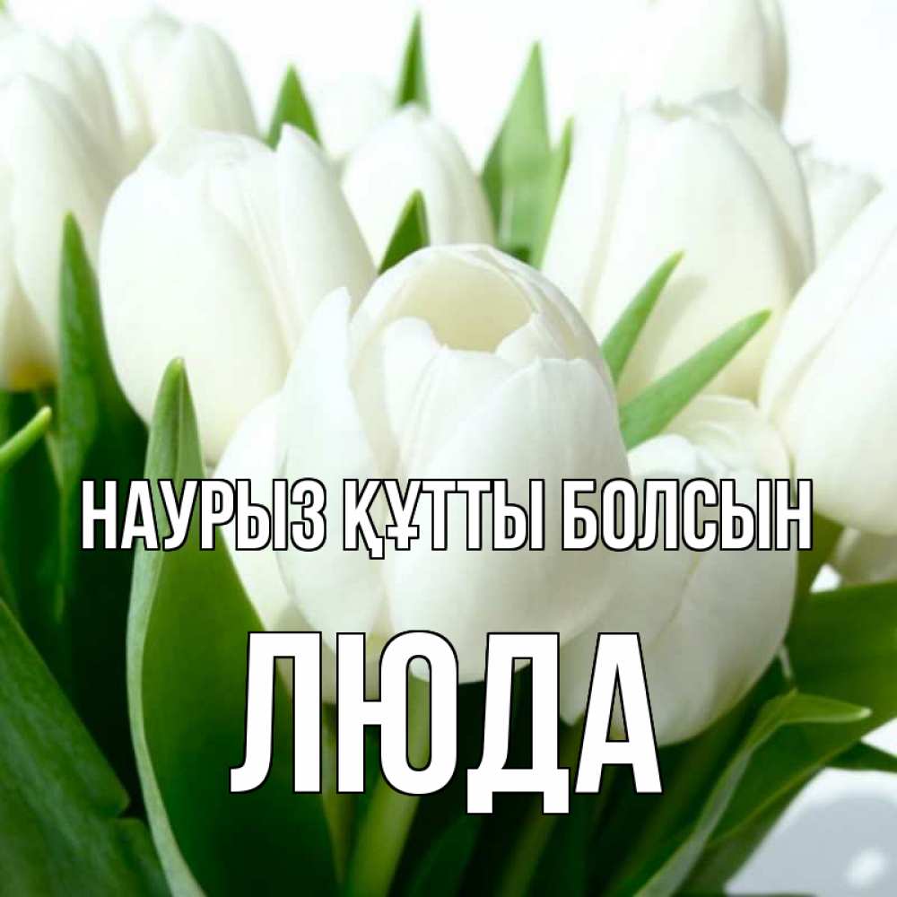 Күн сайын ашық хат с именем, Люда Наурыз құтты болсын цветы Онлайн тегін жүктеп алу тілектері бар керемет карта 