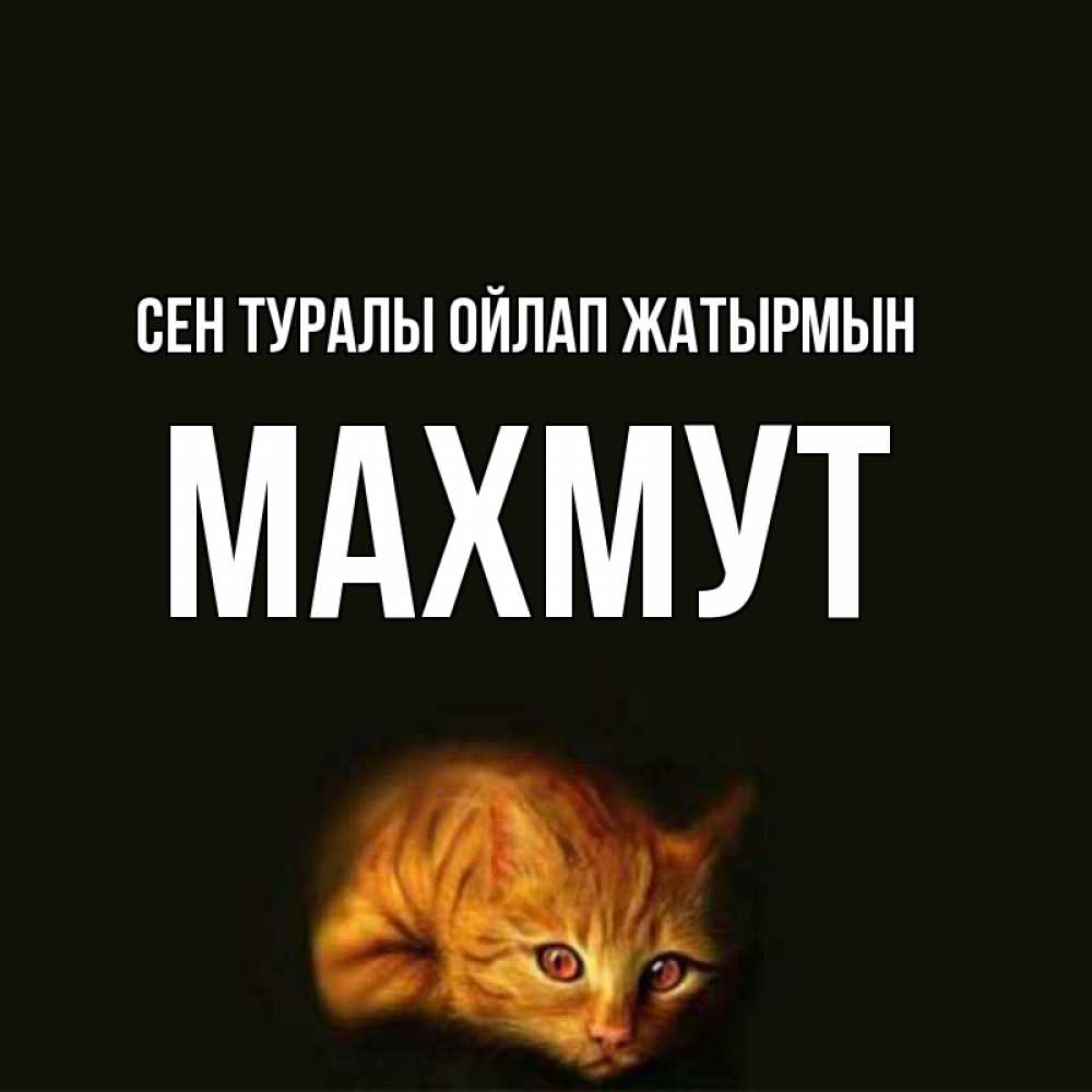 Күн сайын ашық хат с именем, МАХМУТ Сен туралы ойлап жатырмын рыжий Онлайн тегін жүктеп алу тілектері бар керемет карта 