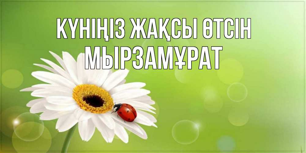 Күн сайын ашық хат с именем, Мырзамұрат Күніңіз жақсы өтсін зеленый фон и ромашка Онлайн тегін жүктеп алу тілектері бар керемет карта 