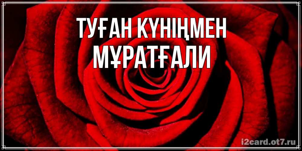 Күн сайын ашық хат с именем, Мұратғали Туған күніңмен алая роза Онлайн тегін жүктеп алу тілектері бар керемет карта 