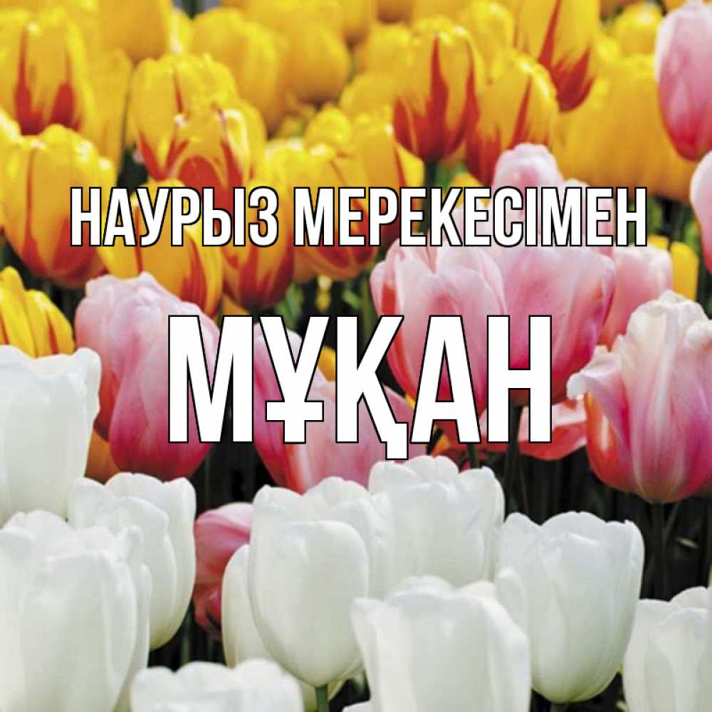 Күн сайын ашық хат с именем, Мұқан Наурыз мерекесімен разноцветные цветы Онлайн тегін жүктеп алу тілектері бар керемет карта 