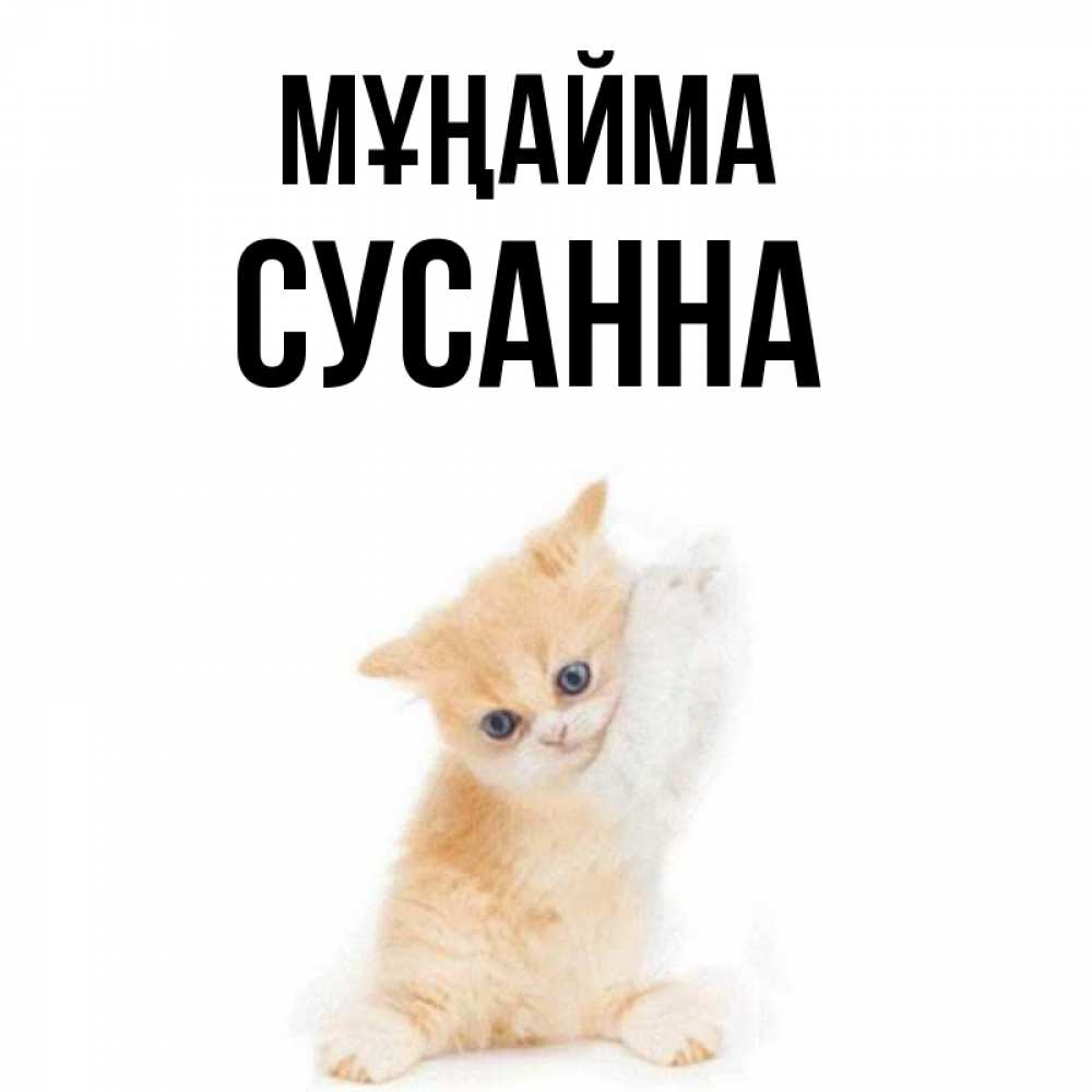 Күн сайын ашық хат с именем, Сусанна Мұңайма просящий кот Онлайн тегін жүктеп алу тілектері бар керемет карта 