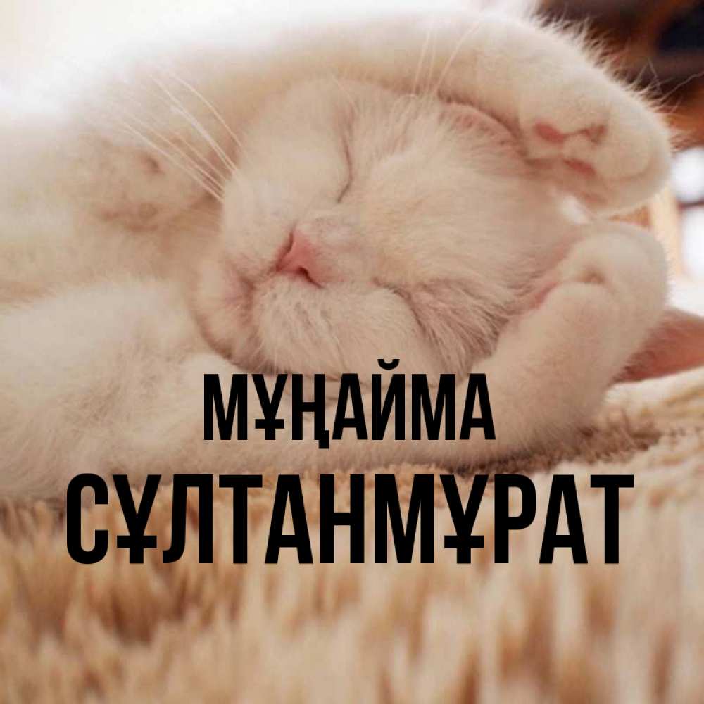 Күн сайын ашық хат с именем, СҰЛТАНМҰРАТ Мұңайма Котенок спит Онлайн тегін жүктеп алу тілектері бар керемет карта 