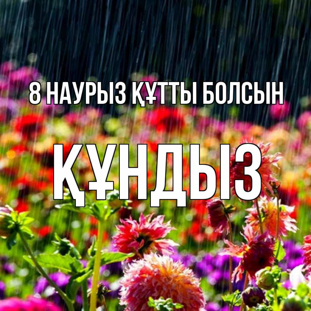 Күн сайын ашық хат с именем, ҚҰНДЫЗ 8 наурыз құтты болсын цветы под дождиком к международному женскому дню Онлайн тегін жүктеп алу тілектері бар керемет карта 