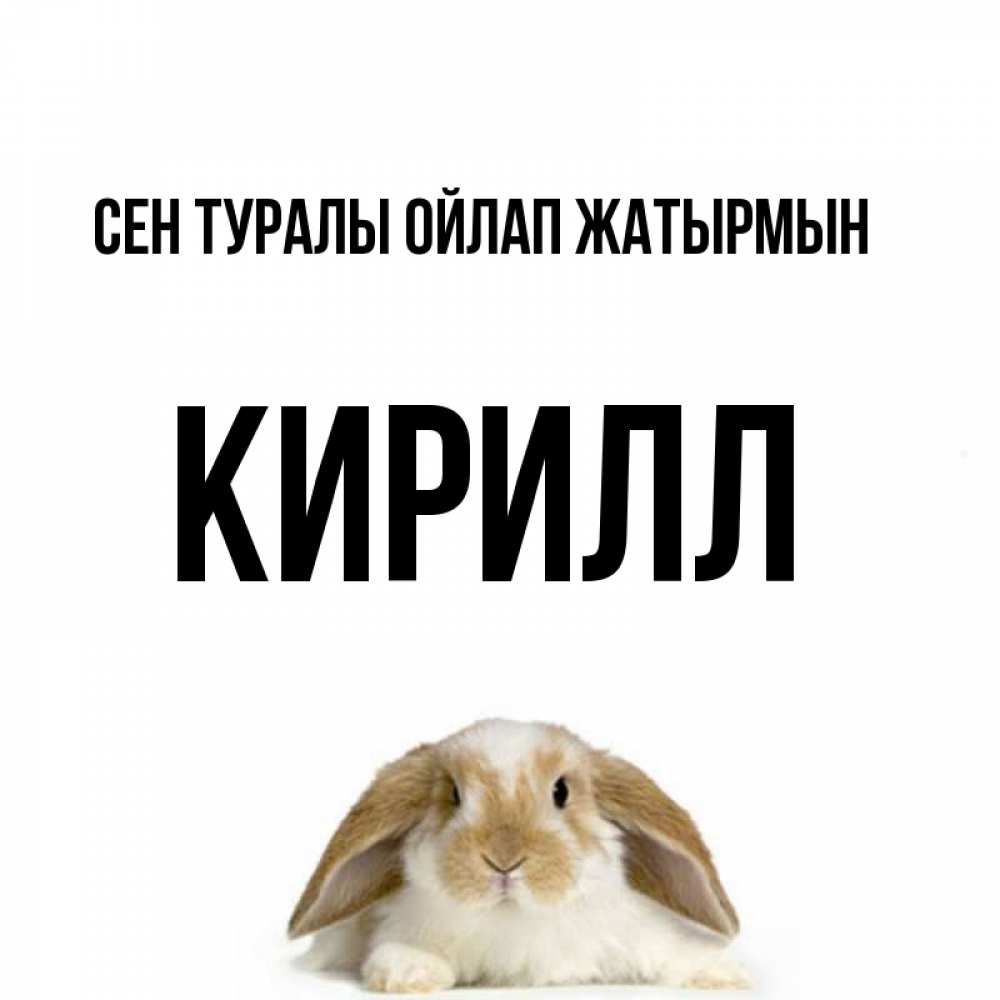 Күн сайын ашық хат с именем, Кирилл Сен туралы ойлап жатырмын подписать своими руками онлайн Онлайн тегін жүктеп алу тілектері бар керемет карта 