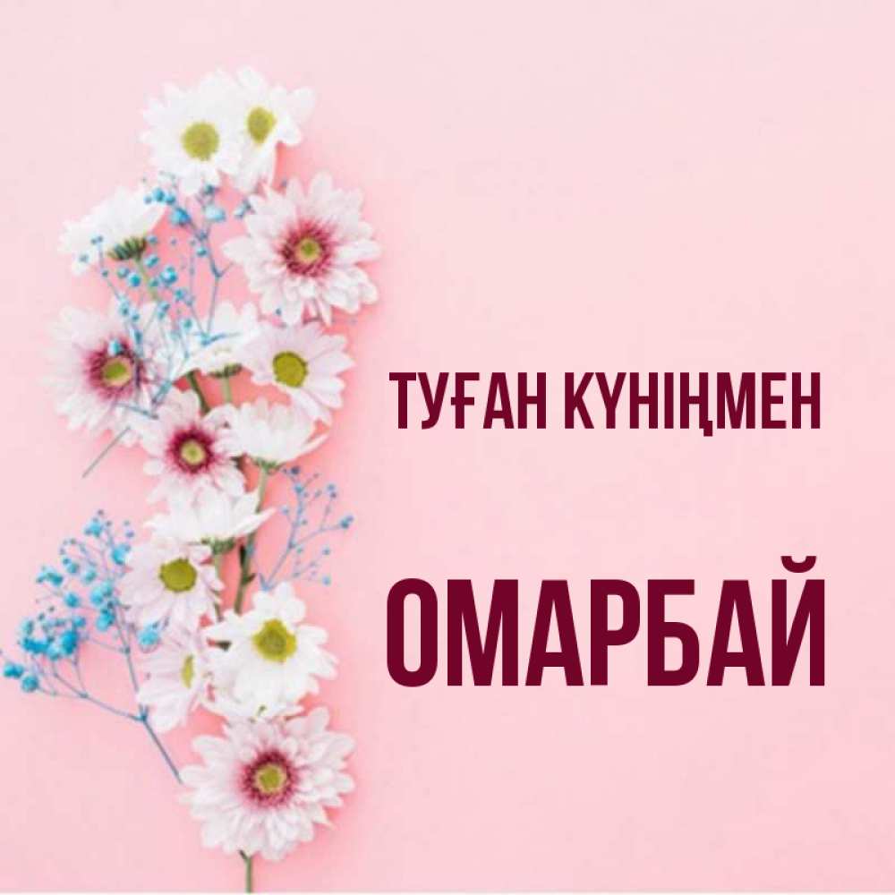Күн сайын ашық хат с именем, ОМАРБАЙ Туған күніңмен Родная моя с днем рождения тебя картинка с цветами белыми и голубыми Онлайн тегін жүктеп алу тілектері бар керемет карта 