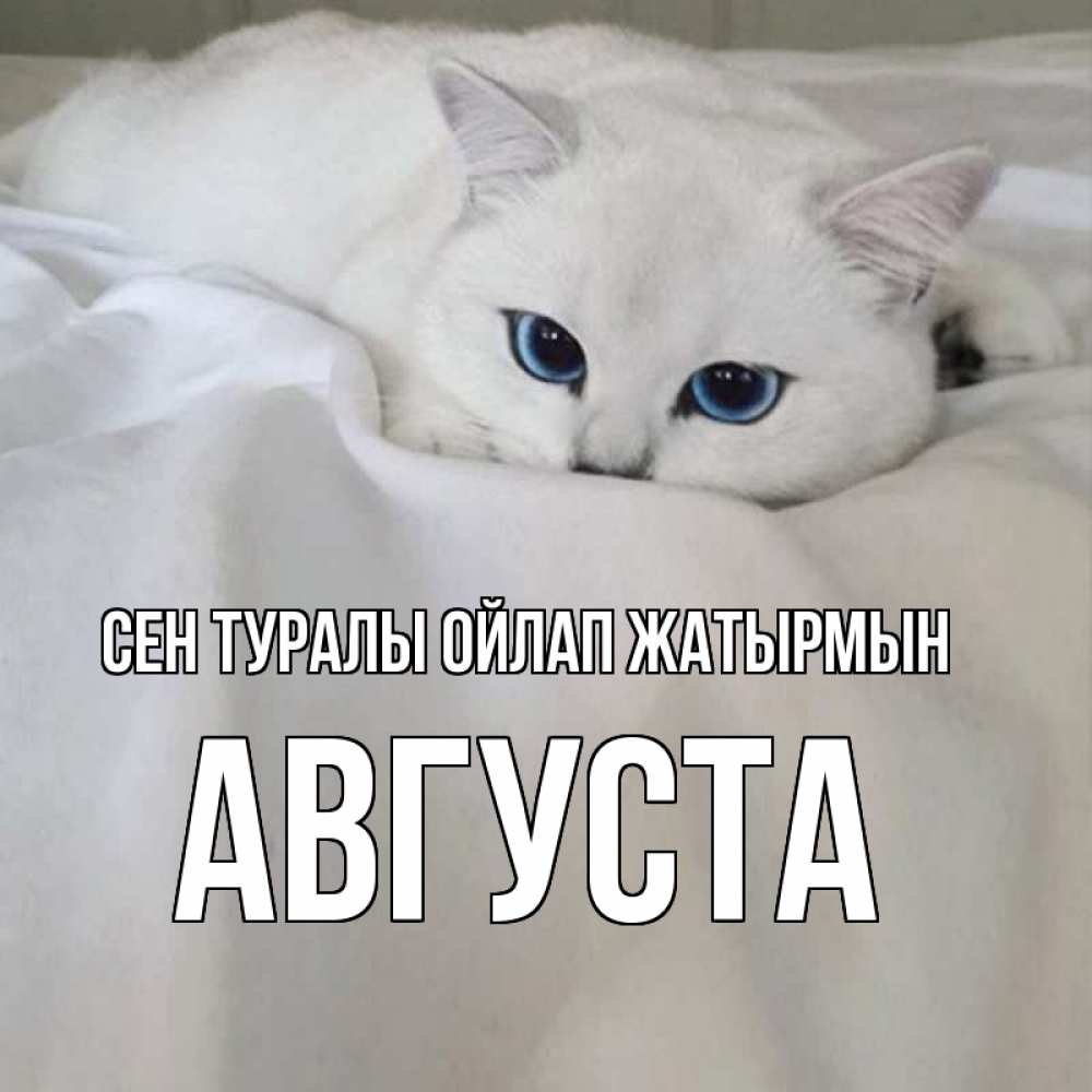 Күн сайын ашық хат с именем, Августа Сен туралы ойлап жатырмын я очень по тебе скучаю и тоскую Онлайн тегін жүктеп алу тілектері бар керемет карта 