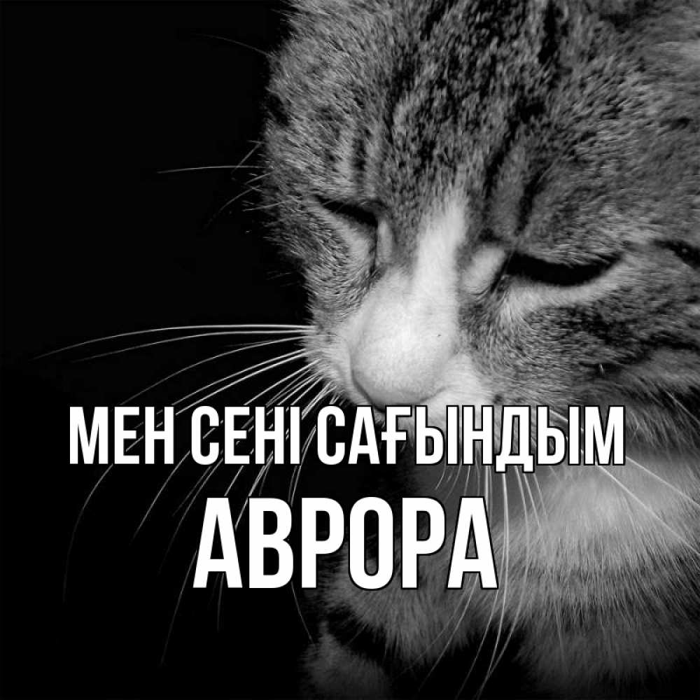 Күн сайын ашық хат с именем, Аврора Мен сені сағындым мне скучно Онлайн тегін жүктеп алу тілектері бар керемет карта 