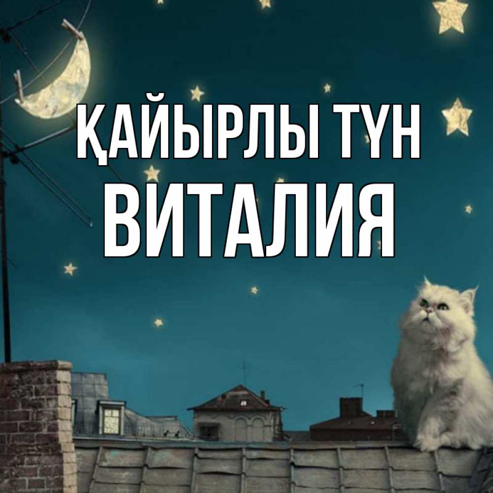 Күн сайын ашық хат с именем, Виталия Қайырлы түн белый кот сидит на крыше Онлайн тегін жүктеп алу тілектері бар керемет карта 