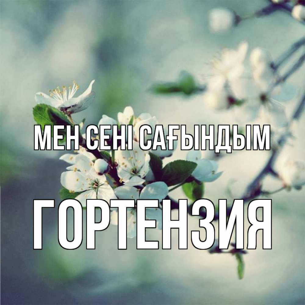 Күн сайын ашық хат с именем, Гортензия Мен сені сағындым весна Онлайн тегін жүктеп алу тілектері бар керемет карта 
