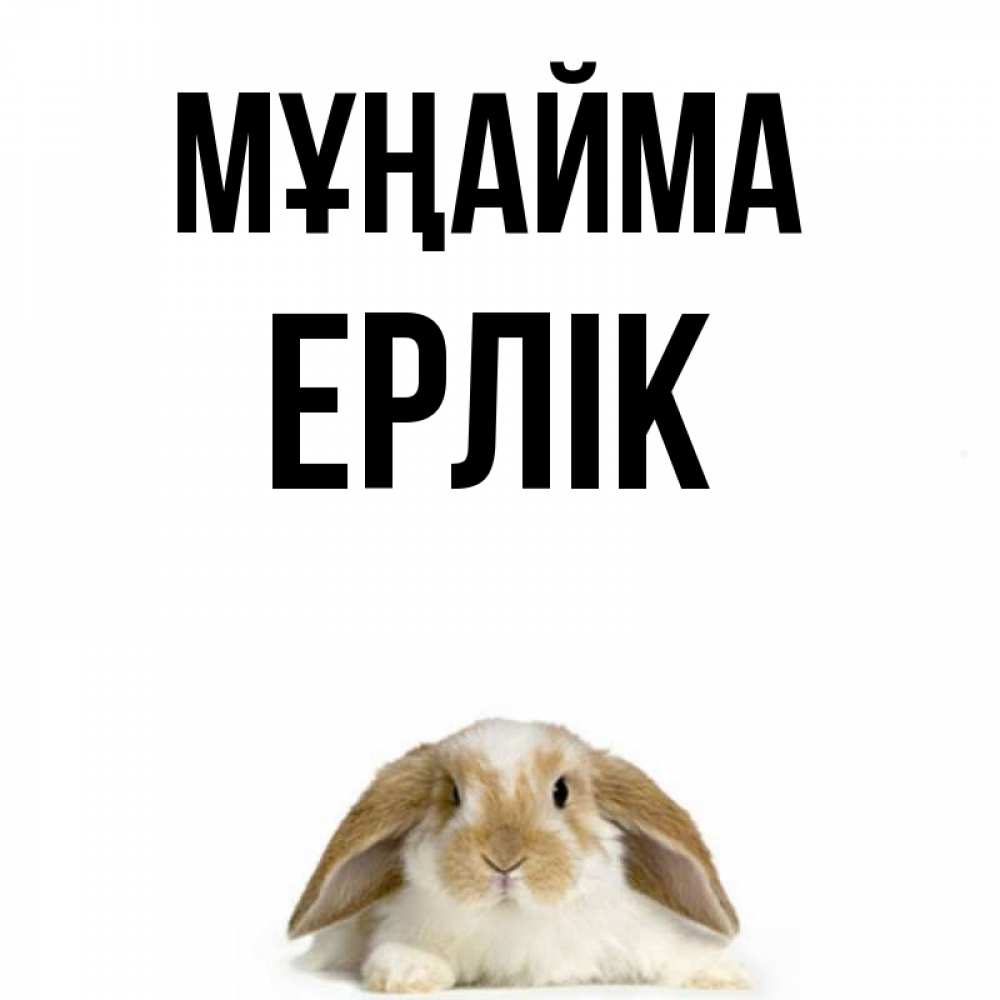 Күн сайын ашық хат с именем, Ерлік Мұңайма коричнево белый заяц с большими ушками Онлайн тегін жүктеп алу тілектері бар керемет карта 