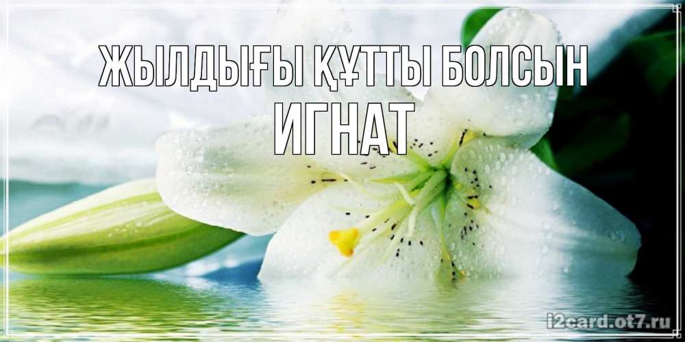 Күн сайын ашық хат с именем, Игнат Жылдығы құтты болсын лилия на открытке ко дню рождения Онлайн тегін жүктеп алу тілектері бар керемет карта 