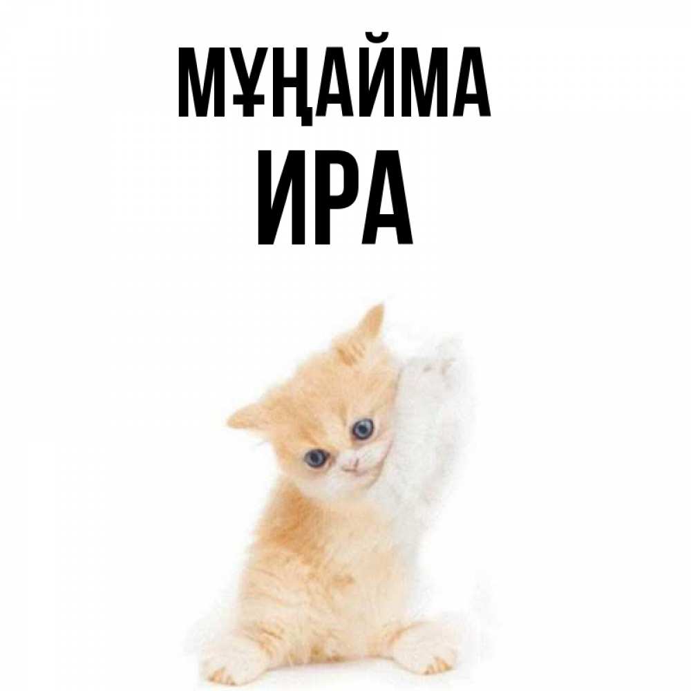 Күн сайын ашық хат с именем, Ира Мұңайма просящий кот Онлайн тегін жүктеп алу тілектері бар керемет карта 
