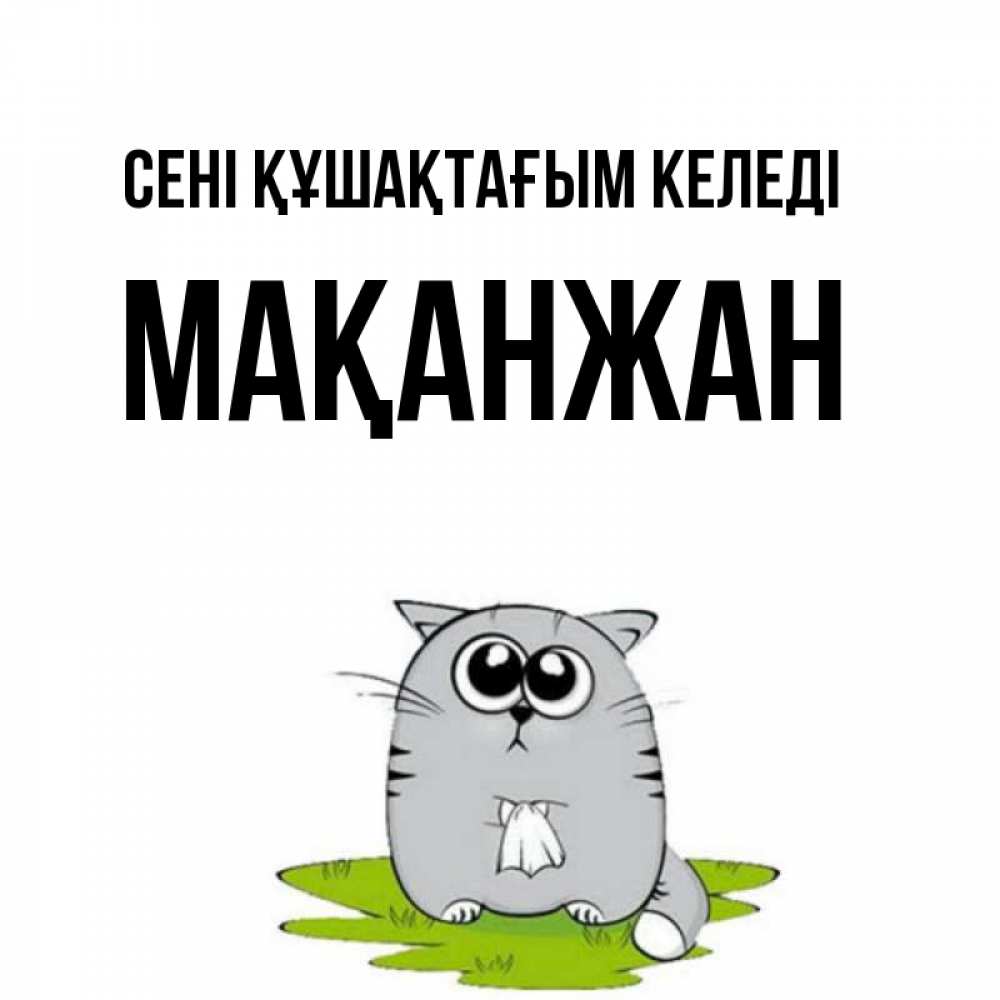 Күн сайын ашық хат с именем, Мақанжан сені құшақтағым келеді котик теребит платочек сидя на травке Онлайн тегін жүктеп алу тілектері бар керемет карта 