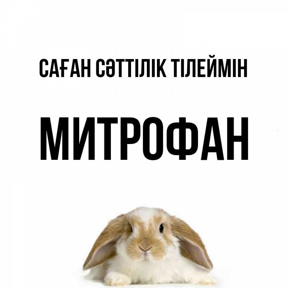 Күн сайын ашық хат с именем, Митрофан Саған сәттілік тілеймін открытки с произвольным текстом который можно вставить в открытку и создать ее самостоятельно бесплатно онлайн Онлайн тегін жүктеп алу тілектері бар керемет карта 