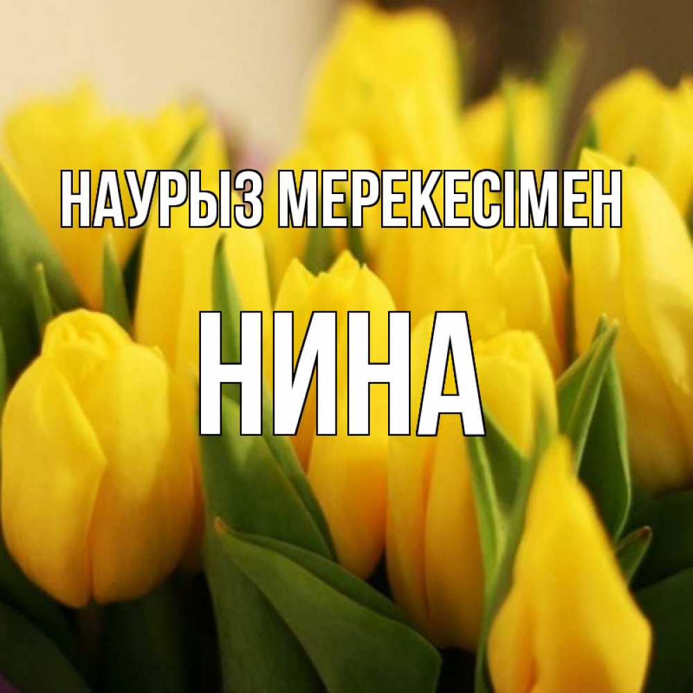 Күн сайын ашық хат с именем, Нина Наурыз мерекесімен цветы Онлайн тегін жүктеп алу тілектері бар керемет карта 