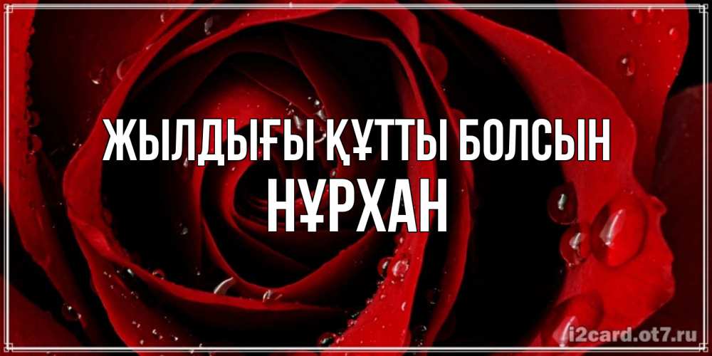 Күн сайын ашық хат с именем, НҰРХАН Жылдығы құтты болсын крупная бордовая роза Онлайн тегін жүктеп алу тілектері бар керемет карта 