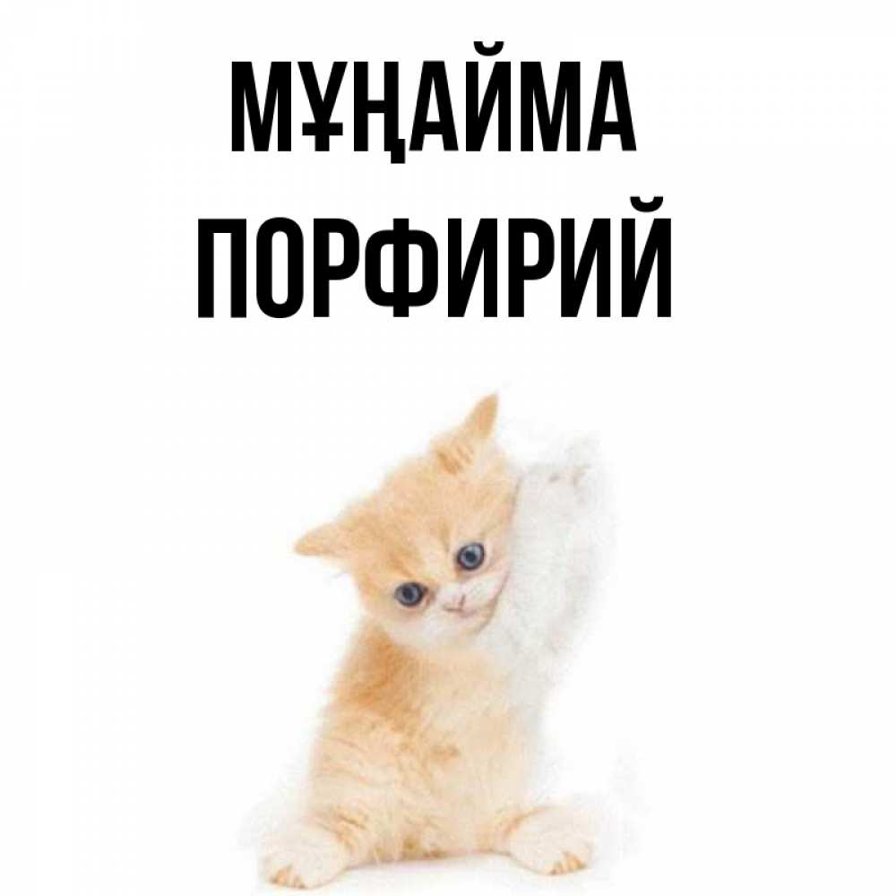 Күн сайын ашық хат с именем, Порфирий Мұңайма просящий кот Онлайн тегін жүктеп алу тілектері бар керемет карта 
