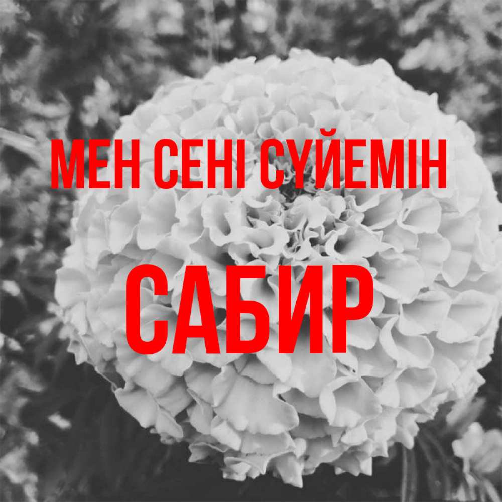 Күн сайын ашық хат с именем, Сабир Мен сені сүйемін подпись Онлайн тегін жүктеп алу тілектері бар керемет карта 