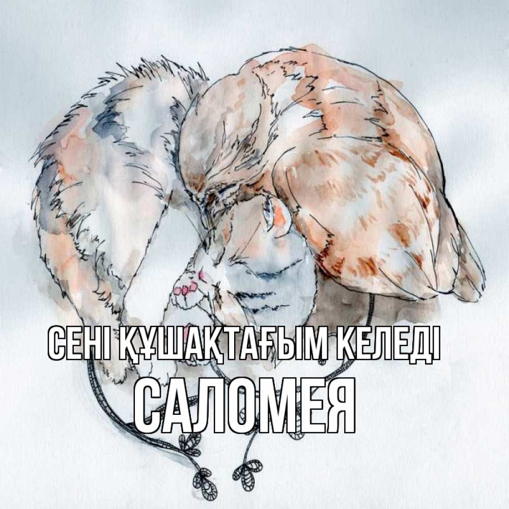 Күн сайын ашық хат с именем, Саломея сені құшақтағым келеді можно быть вместе даже когда очень разные Онлайн тегін жүктеп алу тілектері бар керемет карта 
