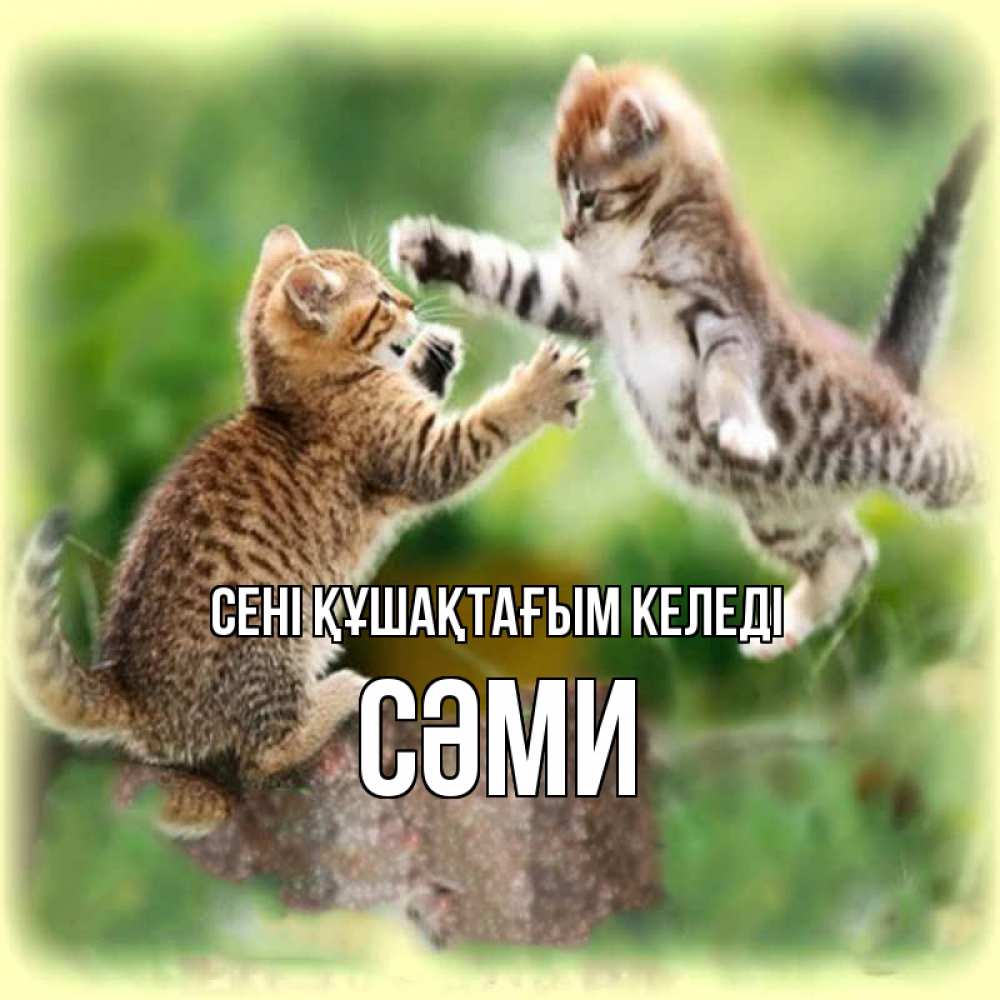 Күн сайын ашық хат с именем, СӘМИ сені құшақтағым келеді игры котят Онлайн тегін жүктеп алу тілектері бар керемет карта 