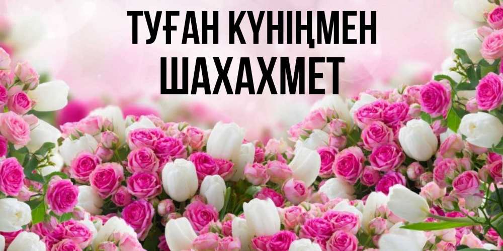 Күн сайын ашық хат с именем, ШАХАХМЕТ Туған күніңмен открытка с разными розами Онлайн тегін жүктеп алу тілектері бар керемет карта 