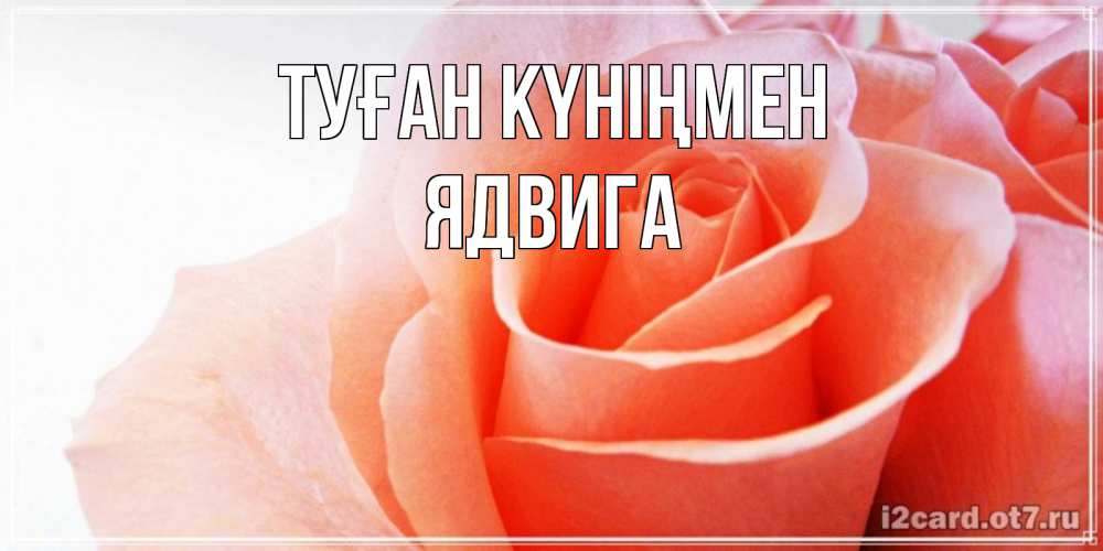Күн сайын ашық хат с именем, Ядвига Туған күніңмен розы для поздравления с днем рождения Онлайн тегін жүктеп алу тілектері бар керемет карта 