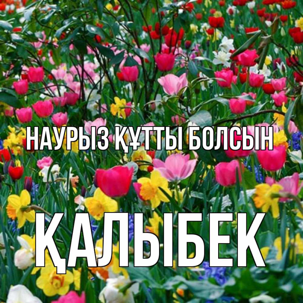 Күн сайын ашық хат с именем, Қалыбек Наурыз құтты болсын с наурызом поздравления для женщины Онлайн тегін жүктеп алу тілектері бар керемет карта 