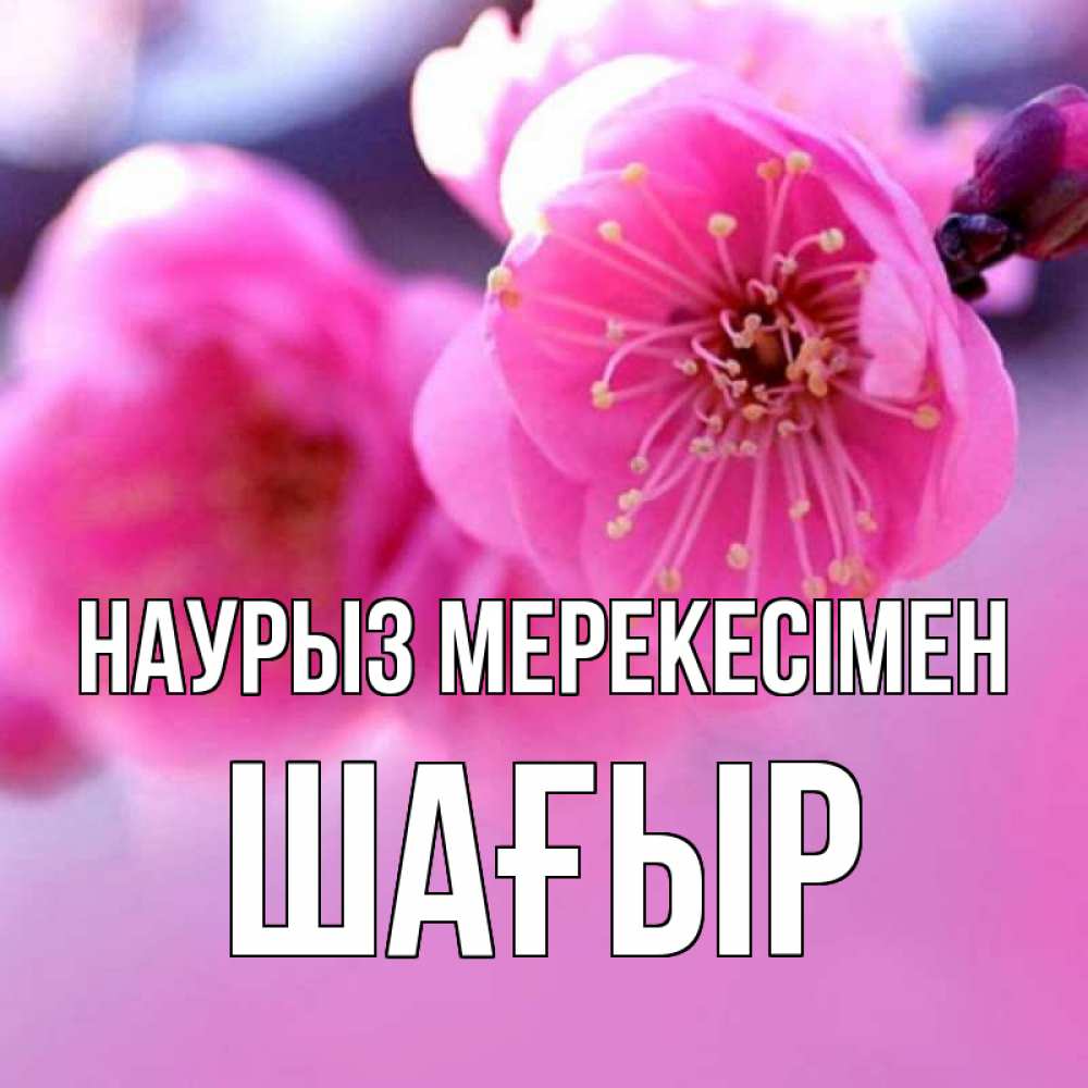 Күн сайын ашық хат с именем, ШАҒЫР Наурыз мерекесімен международный женский день Онлайн тегін жүктеп алу тілектері бар керемет карта 