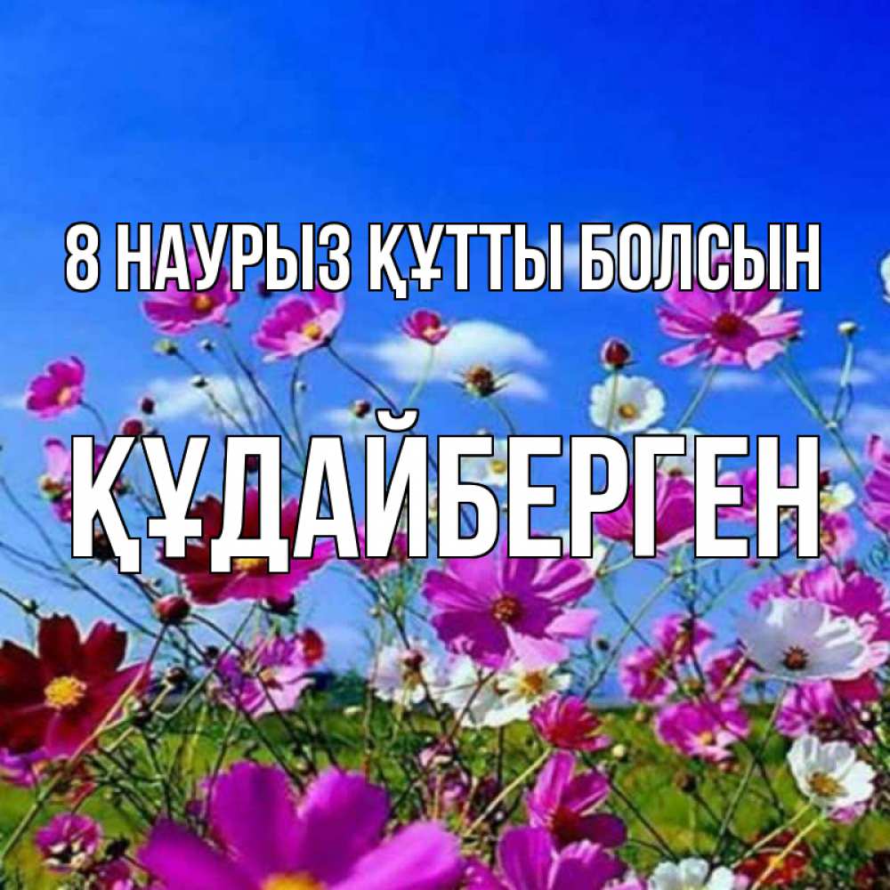 Күн сайын ашық хат с именем, ҚҰДАЙБЕРГЕН 8 наурыз құтты болсын цветы Онлайн тегін жүктеп алу тілектері бар керемет карта 
