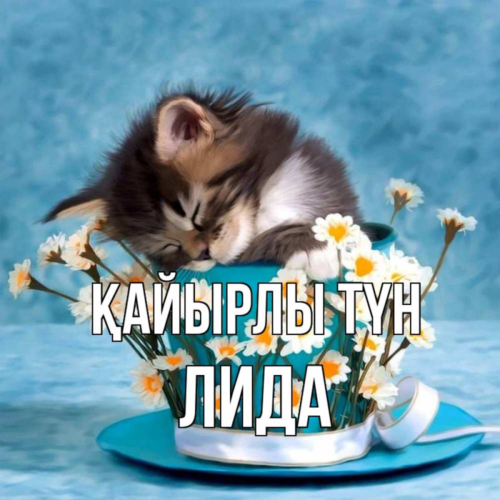 Күн сайын ашық хат с именем, Лида Қайырлы түн котенок спит в кружке с блюдцем Онлайн тегін жүктеп алу тілектері бар керемет карта 